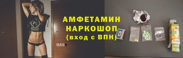 гашик Семилуки