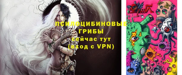 хмурый Алексеевка